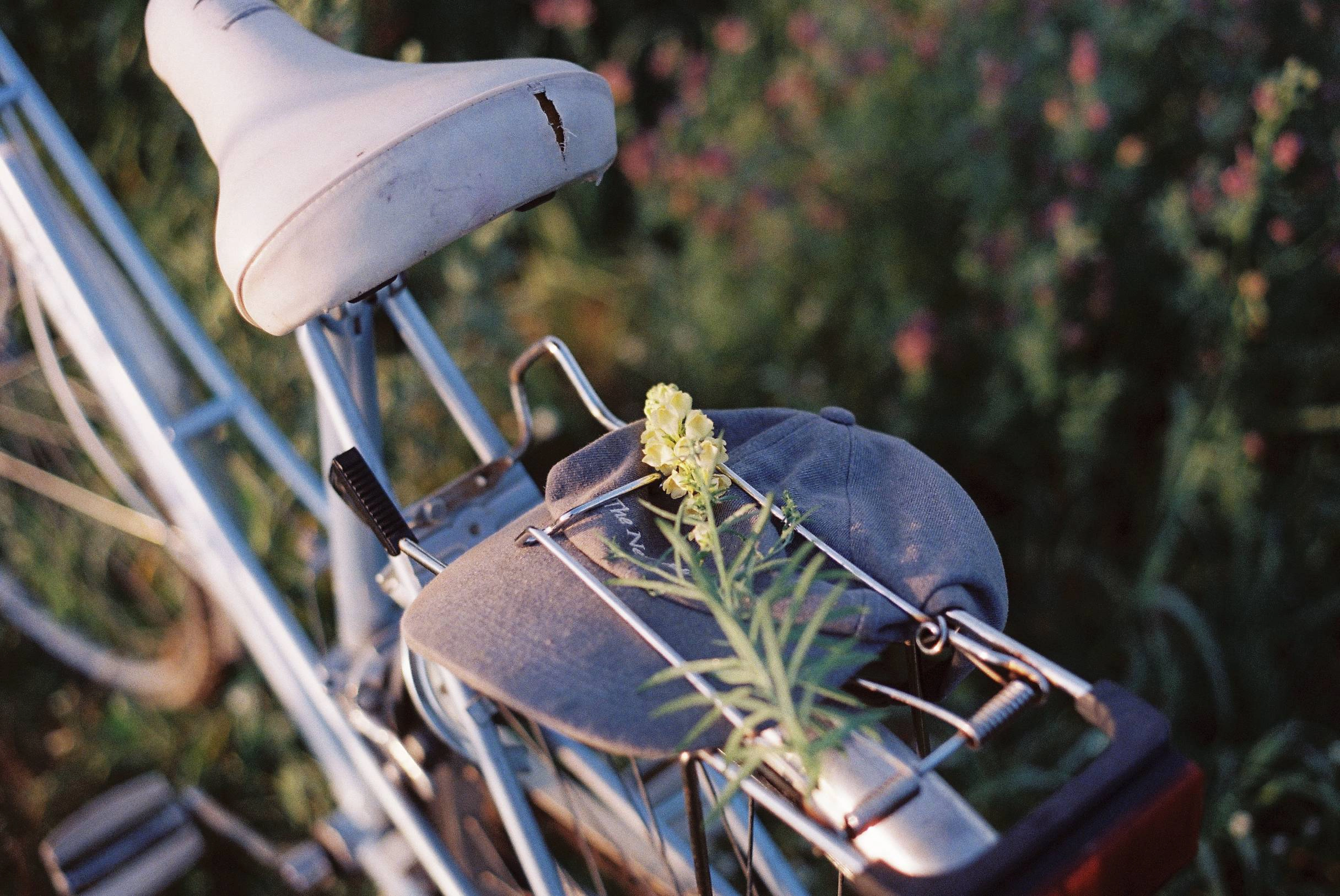 Lomography — montagnes